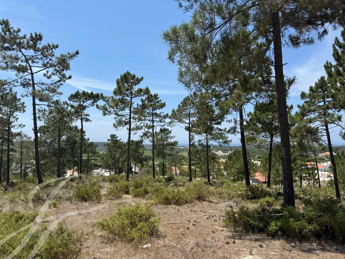 Land in Carvalhal, Setubal, Portugal 4 - 14498680