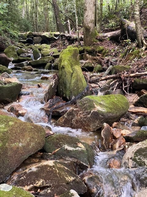 House in Cashiers, North Carolina, United States 1 - 13780734