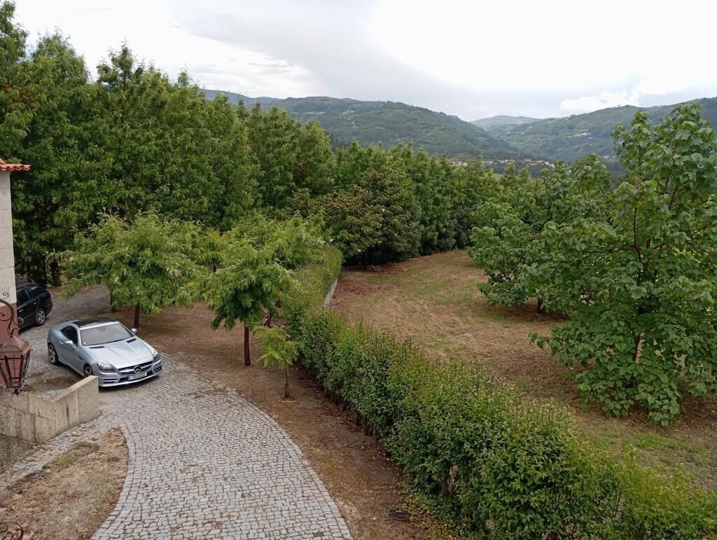 Farm Ranch in Gondar, Porto District, Portugal 4 - 14500183