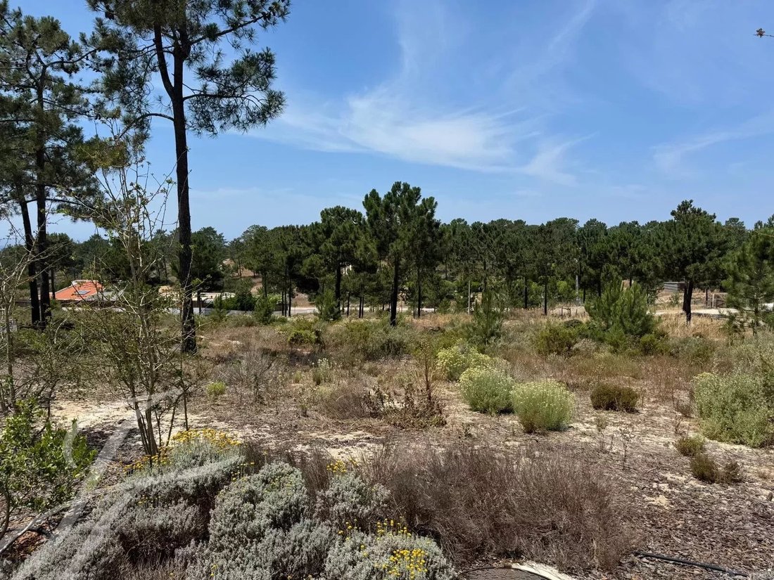 Land in Carvalhal, Setubal, Portugal 5 - 14498680