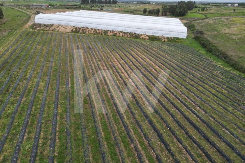 Land in Ladoeiro, Castelo Branco District, Portugal 1 - 14502567
