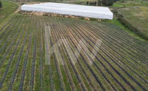 Terreno a Ladoeiro, Distretto di Castelo Branco, Portogallo 1