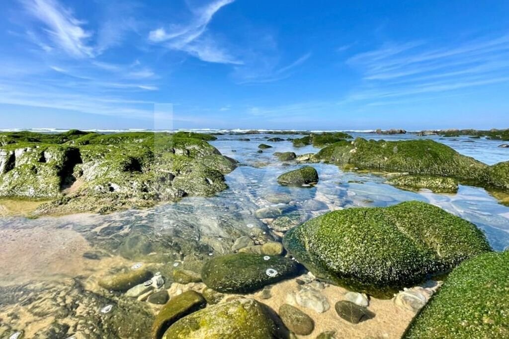 Land in Porto Covo, Setubal, Portugal 1 - 14503213