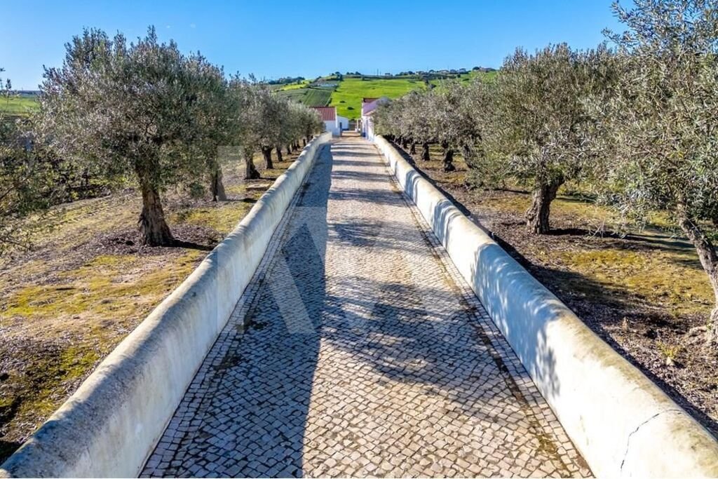 Farm Ranch in Castanheira do Ribatejo e Cachoeiras, Lisbon, Portugal 3 - 14502579