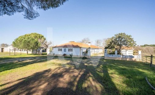 Land in Benavente, Distrikt Santarém, Portugal 1