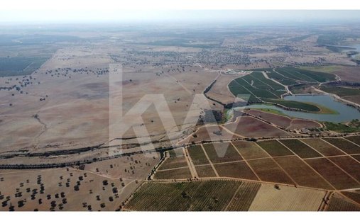 Land in Beja (Salvador e Santa Maria da Feira), Beja District, Portugal 1
