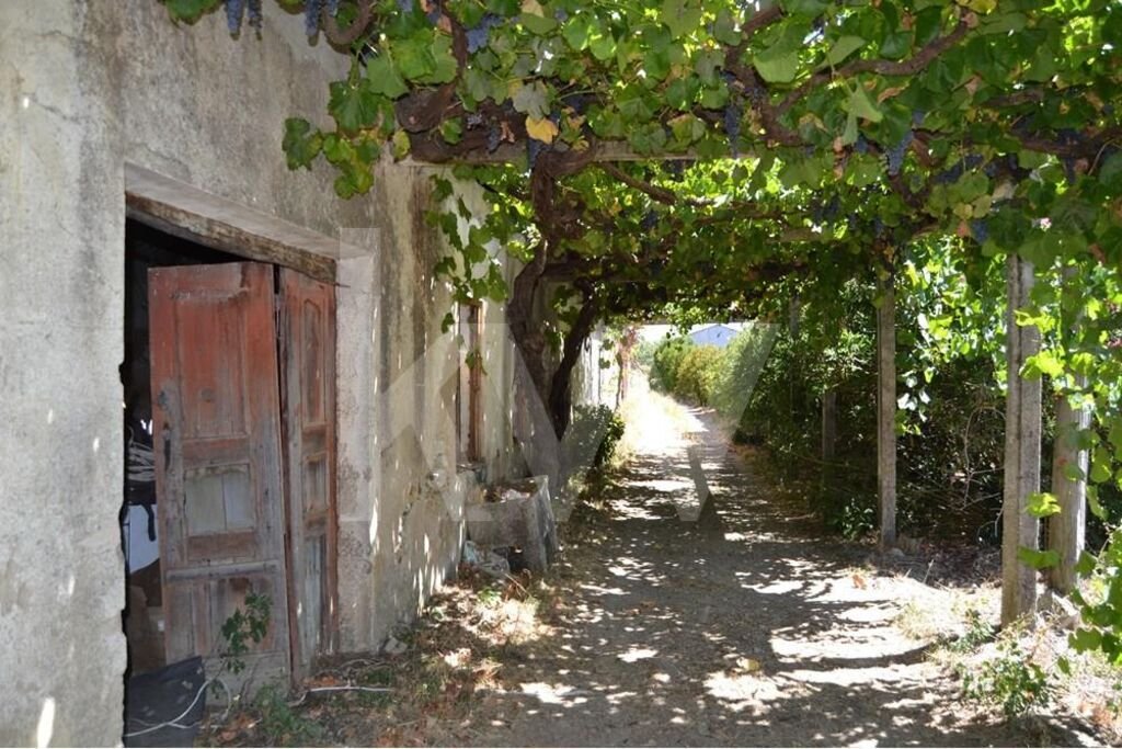 Farm Ranch in Covilha e Canhoso, Castelo Branco District, Portugal 4 - 14503104