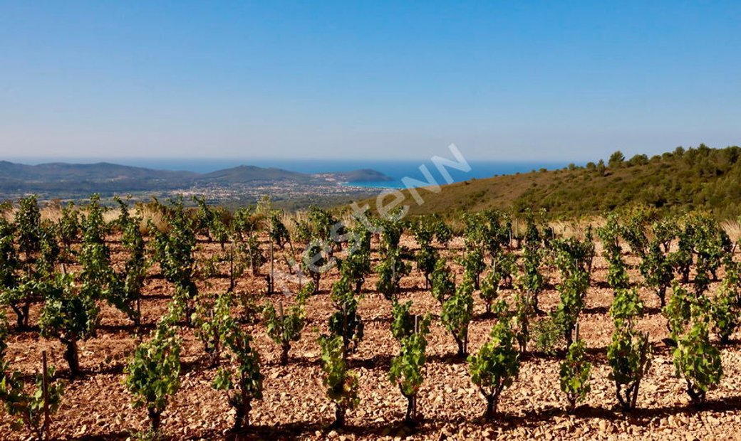 House In La Cadière D'azur, Provence Alpes Côte D'azur, France For Sale