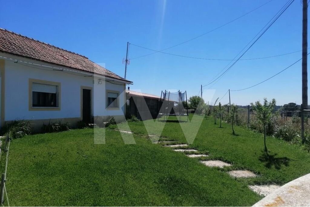 Farm Ranch in Brogueira, Parceiros de Igreja e Alcorochel, Santarem District, Portugal 5 - 14502677