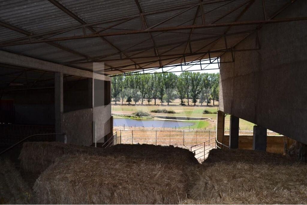 Farm Ranch in Covilha e Canhoso, Castelo Branco District, Portugal 5 - 14503104
