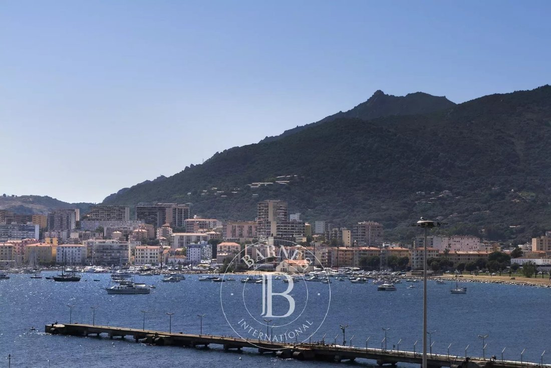 Ajaccio, 3 Bedroom Apartment, Terrace With Sea In Propriano, Corsica