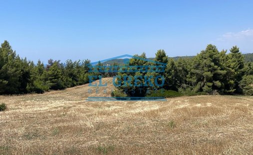 Land in Kassandra, Macedonia and Thrace, Greece 1