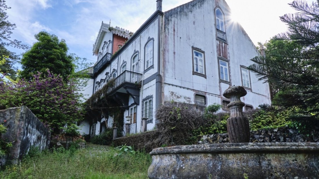 Chalet in Angra (Sao Pedro), Azoren, Portugal 4 - 14506156