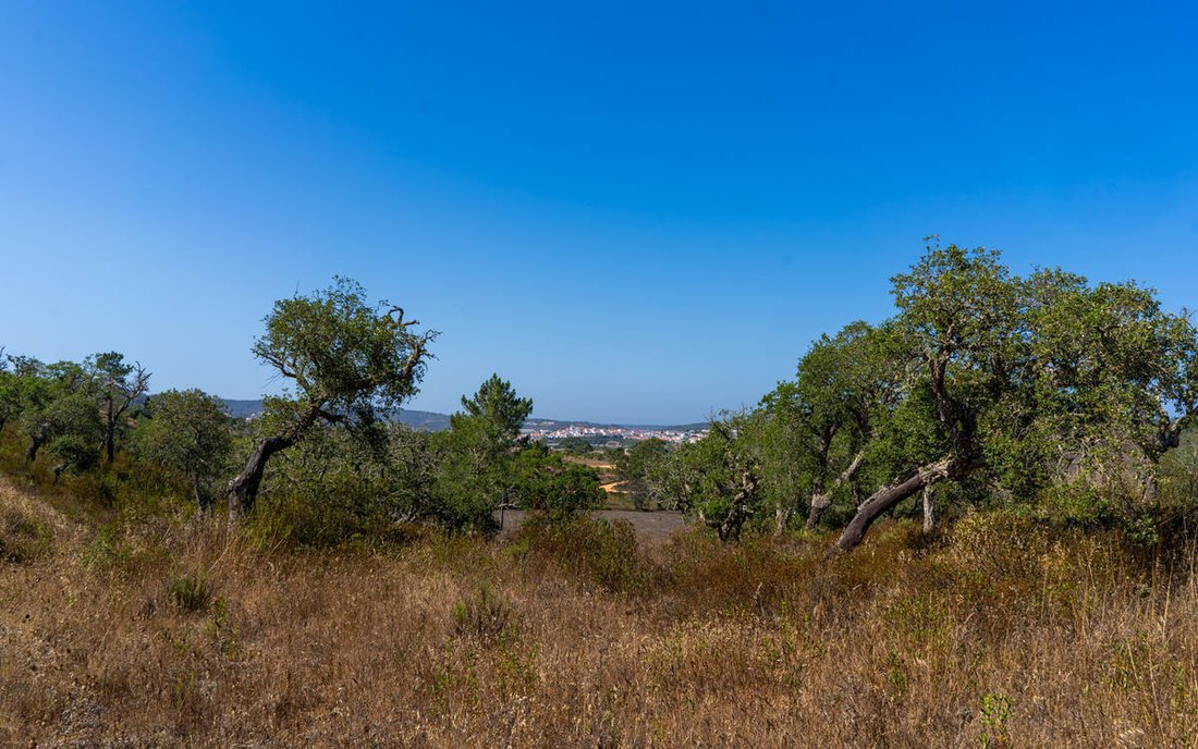 Villa in Aljezur, Algarve, Portugal 4 - 14507867
