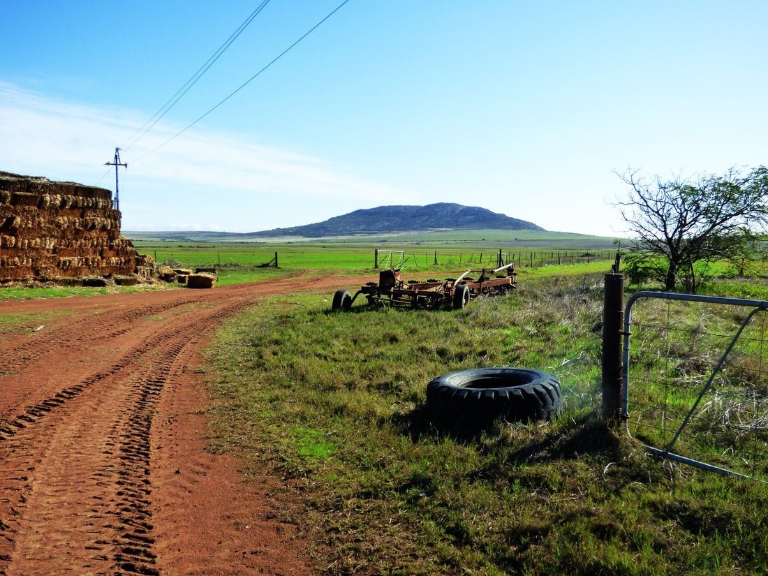 Farm Ranch in Darling, Western Cape, South Africa 4 - 14508103