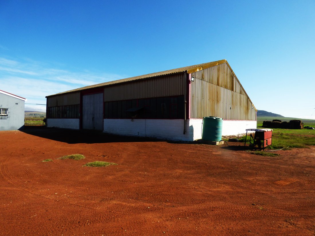 Farm Ranch in Darling, Western Cape, South Africa 3 - 14508103