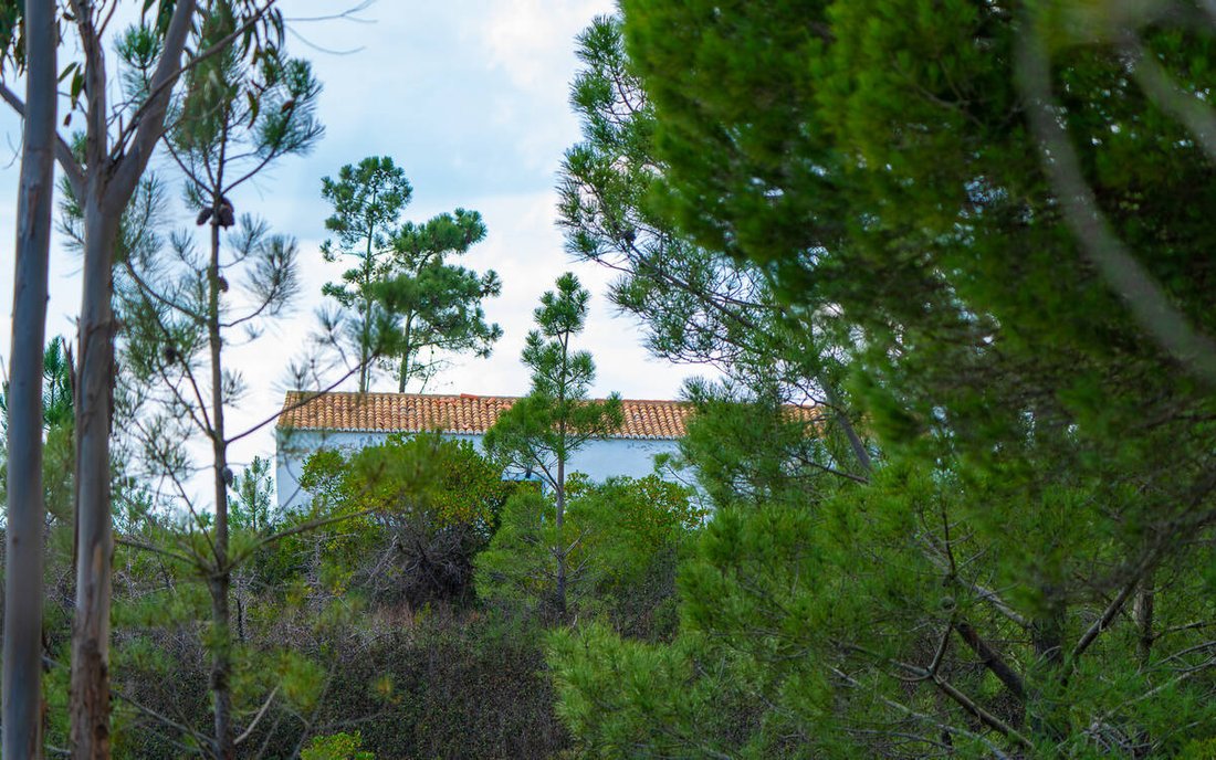 Villa in Aljezur, Algarve, Portugal 3 - 14507695