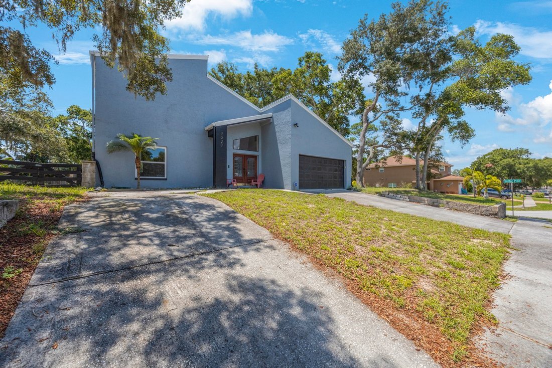 House in Palm Harbor, Florida, United States 5 - 14506839