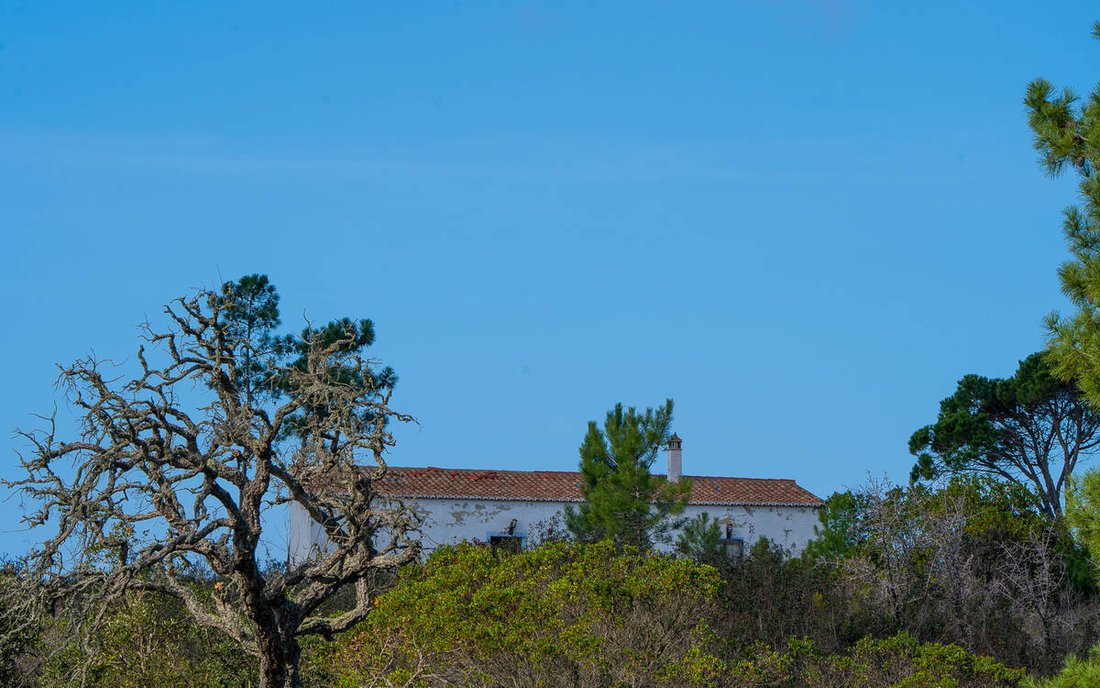 Villa in Aljezur, Algarve, Portugal 4 - 14507695