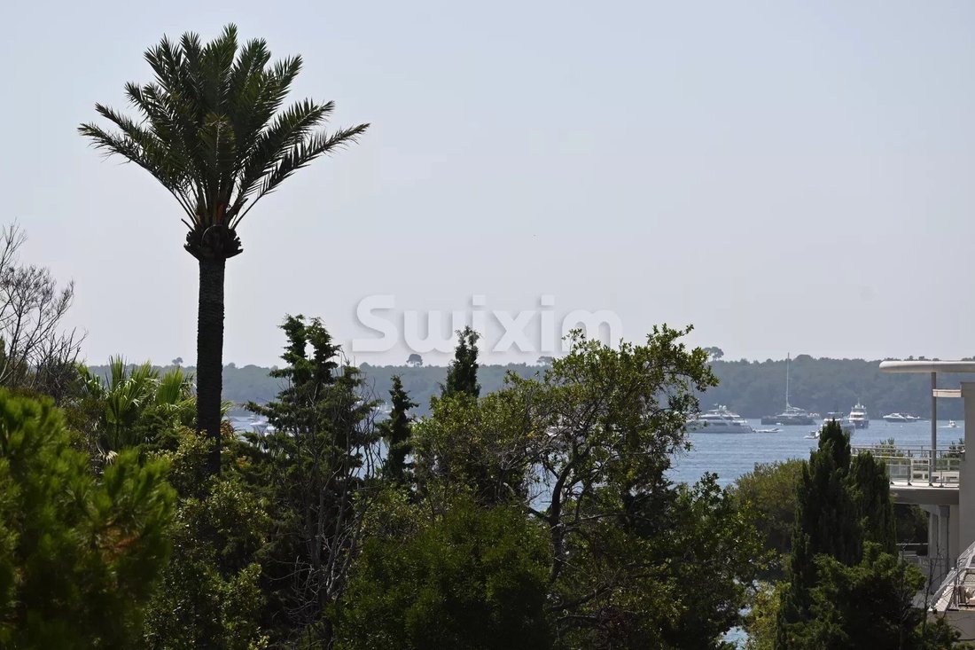 Apartment in La Californie, Cannes, France 2 - 14512134