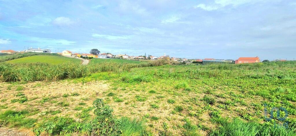 Land in Ericeira, Lisbon, Portugal 2 - 14512819