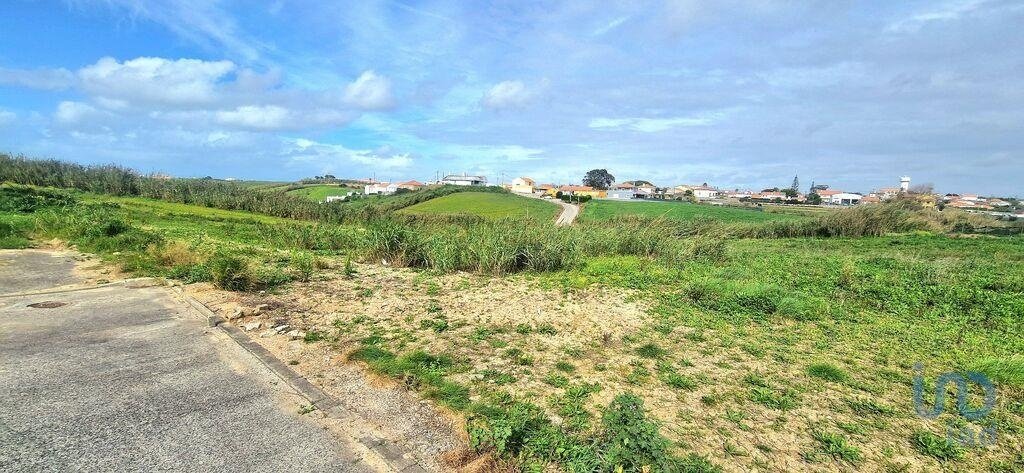 Land in Ericeira, Lisbon, Portugal 4 - 14512819