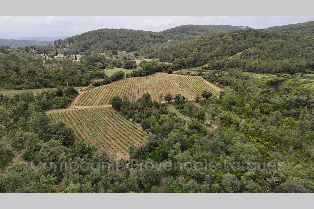 Villa a Lorgues, Provenza-Alpi-Costa Azzurra, Francia 4 - 14513196