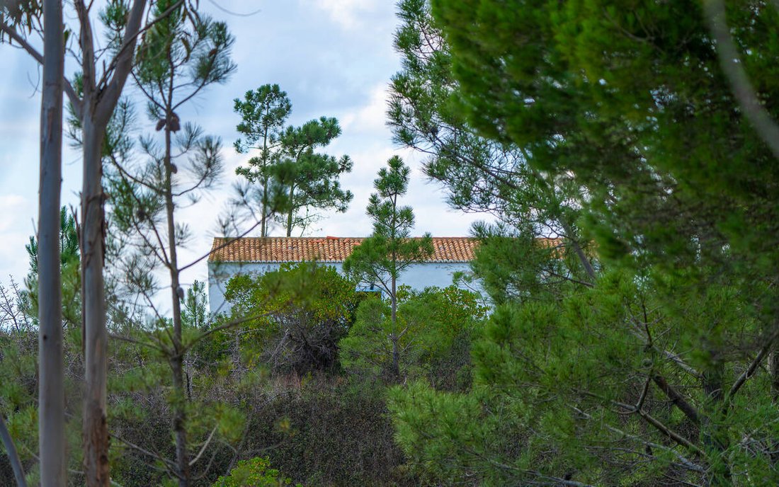 Villa in Aljezur, Algarve, Portugal 5 - 14507695