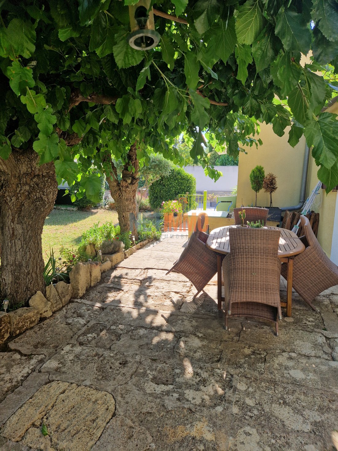 Château Aigues Vives: A Sunlit Sanctuary in Occitanie’s Golden Hills