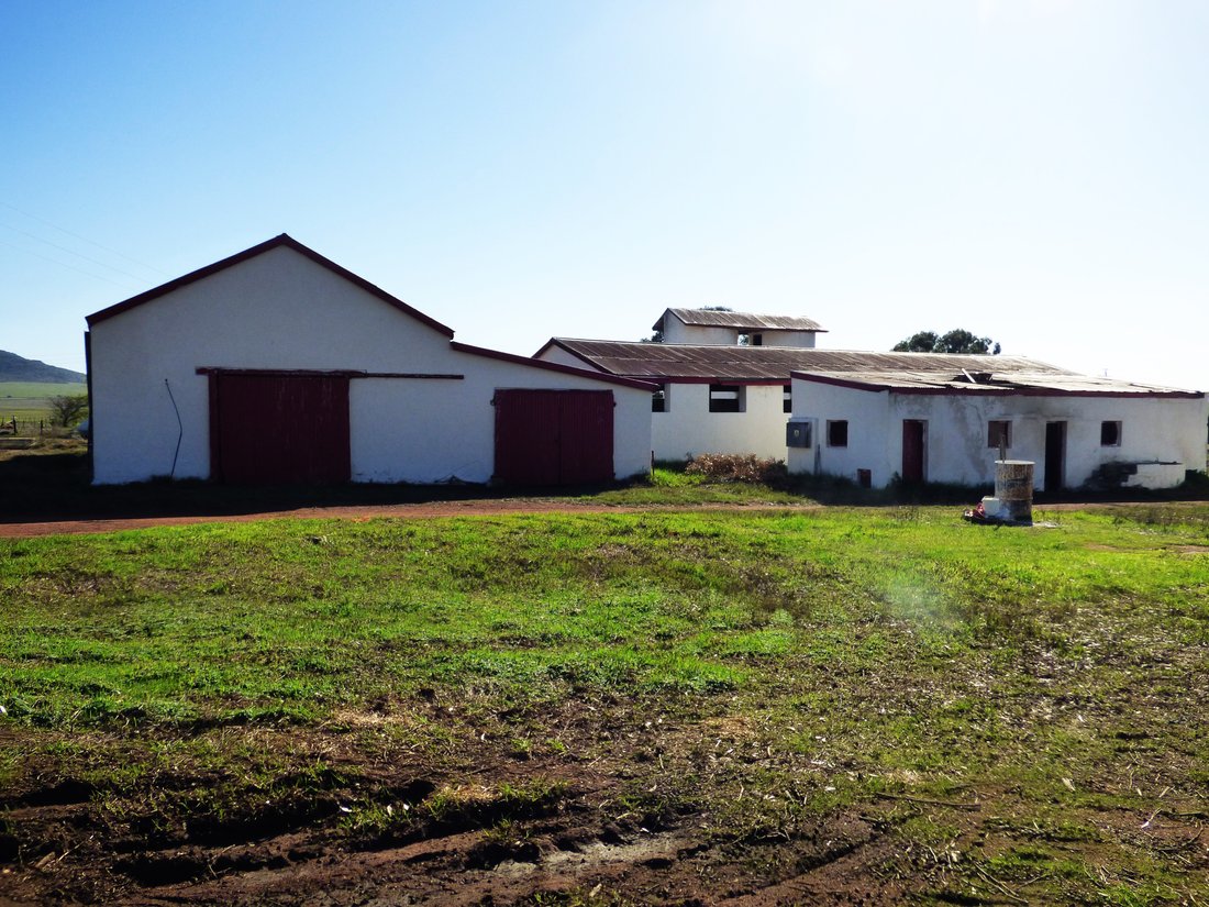 Farm Ranch in Darling, Western Cape, South Africa 5 - 14508103