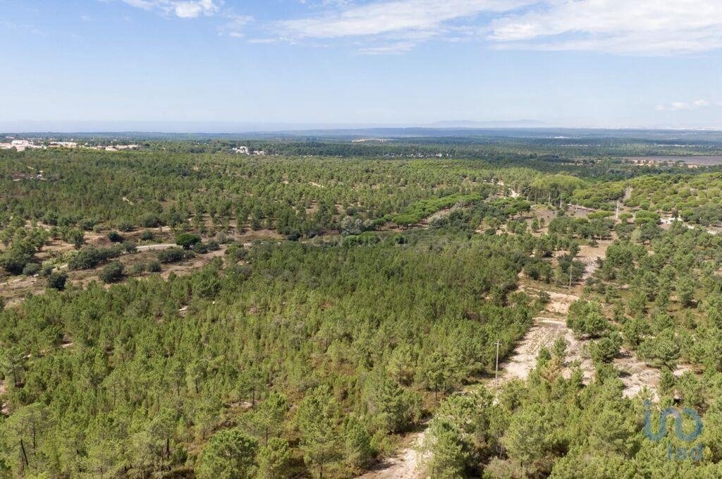 Land in Santiago, Setubal, Portugal 5 - 14510287