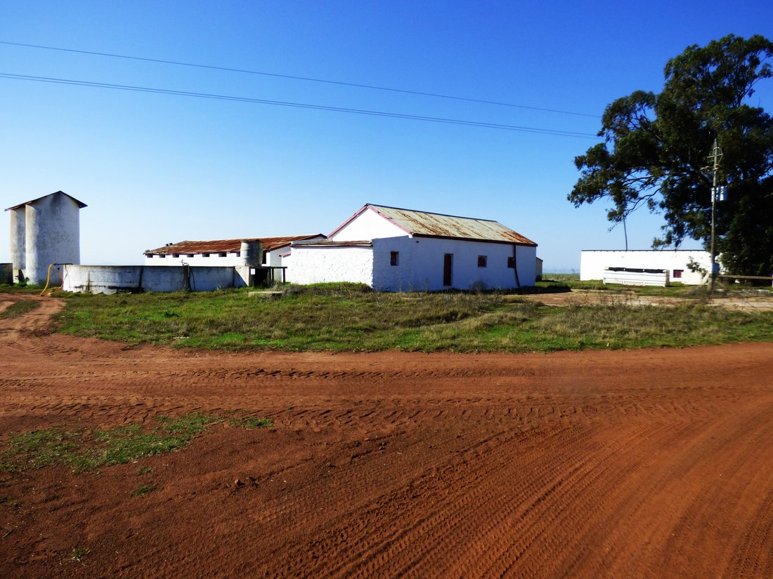 Farm Ranch in Darling, Western Cape, South Africa 1 - 14508103
