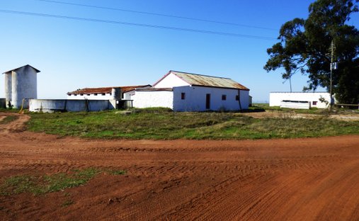 Farm Ranch in Darling, Western Cape, South Africa 1