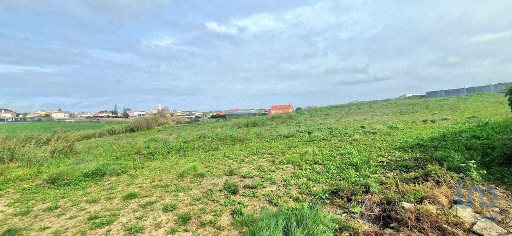 Land in Ericeira, Lisbon, Portugal 1 - 14512819