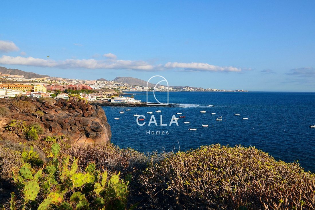 House in La Caleta, Adeje, Canary Islands 1 - 14514935