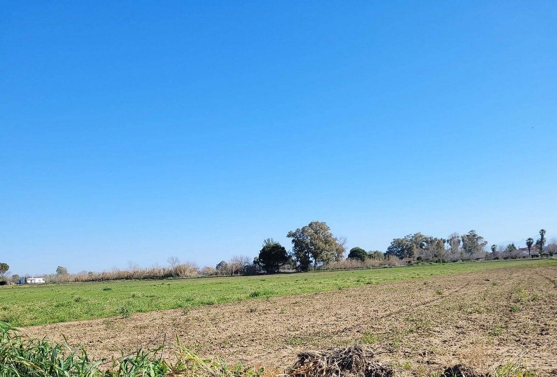 Land in Amaliada, Peloponnese, Western Greece and the Ionian, Greece 4 - 14515510