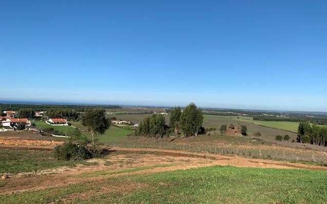 Farm Ranch in S.Teotónio, Beja District, Portugal 3 - 14515092