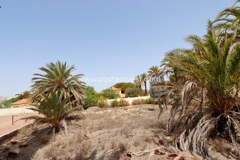 Terreno a Cabo Roig, Orihuela, Comunità Valenzana 2 - 14515089