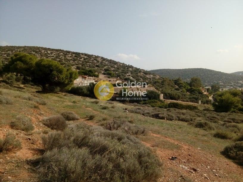 Land in Kropia, Attica, Greece 1 - 14520721