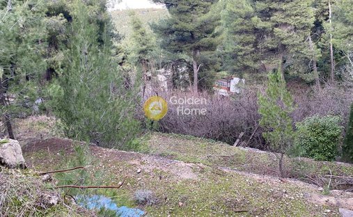 Land in Dionysos, Attica, Greece 1