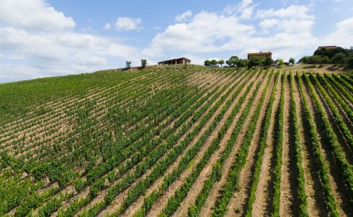 Casa a Campagnatico, Toscana, Italia 1
