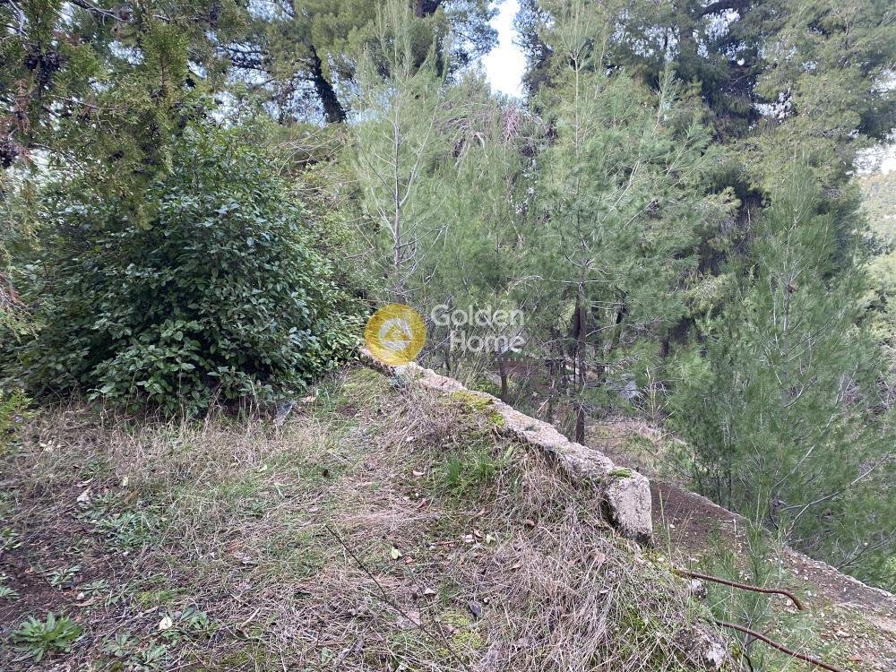 Land in Dionysos, Attica, Greece 4 - 14520705