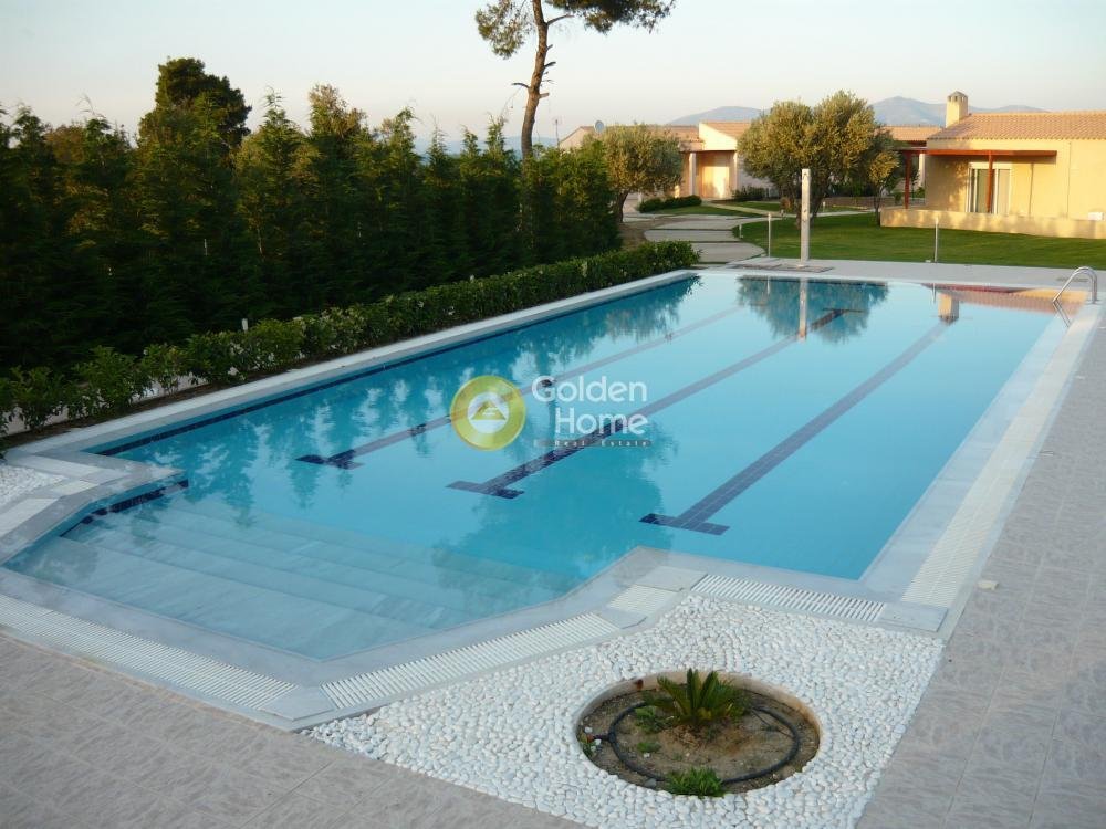 Estate in Oropos, Attica, Greece 1 - 14520714