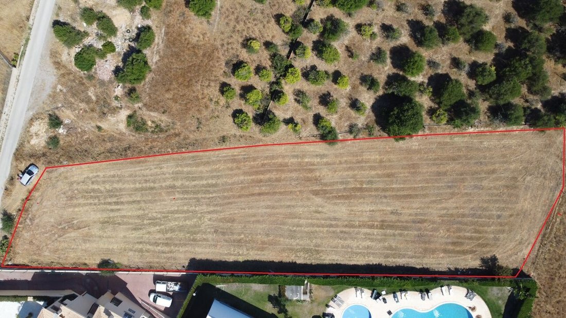 Fantastic Land With Pip (Prior Information In Olhos De água, Algarve