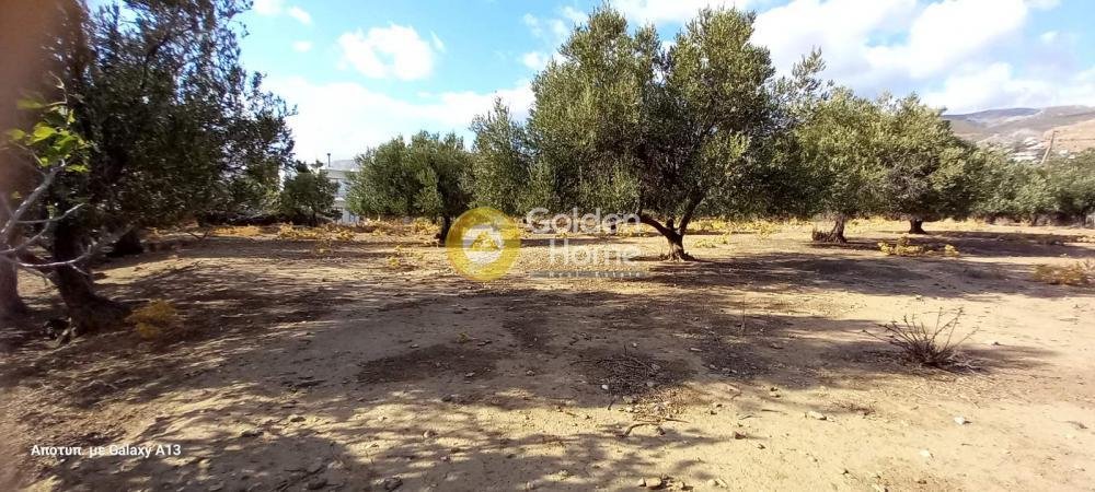 Land in Euboea, Thessaly and Central Greece, Greece 3 - 14520796