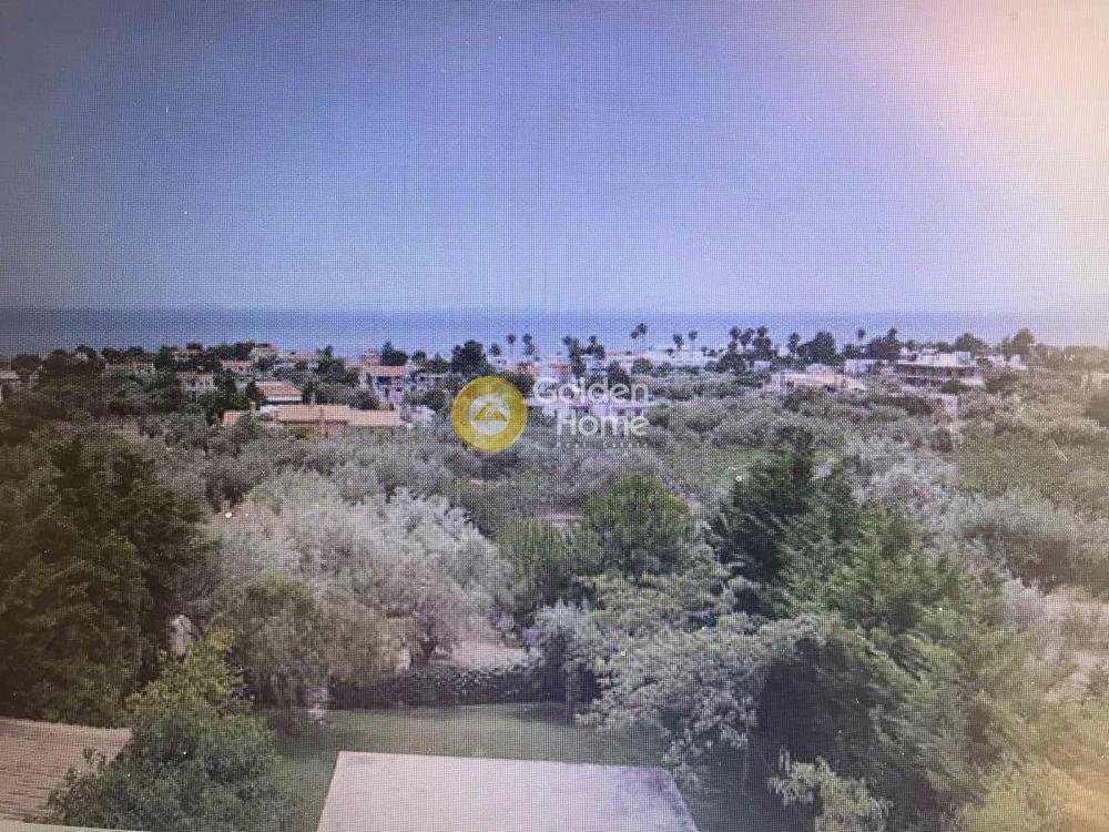 House in Community of Kineta, Megara, Greece 4 - 14520700