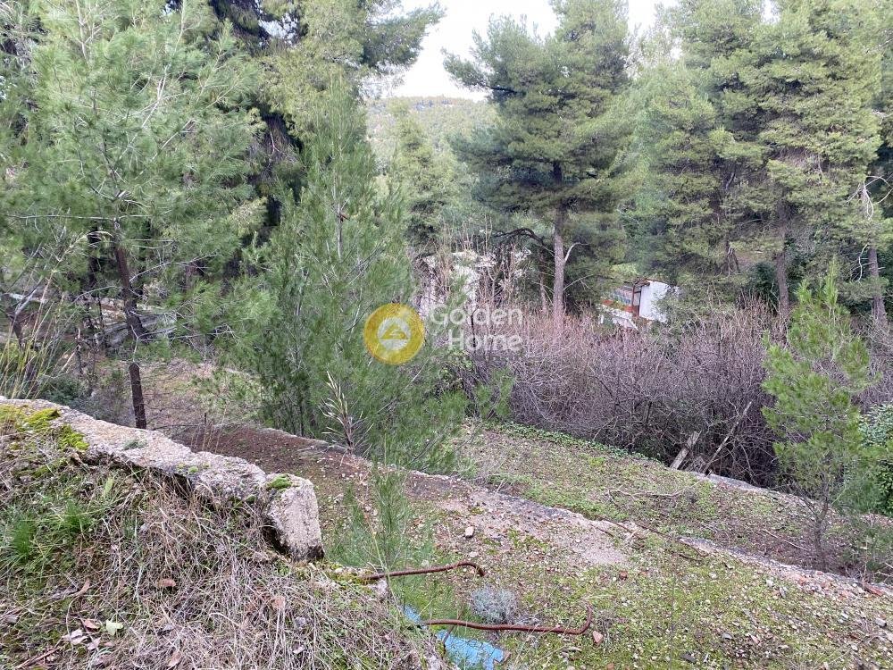Land in Dionysos, Attica, Greece 5 - 14520705