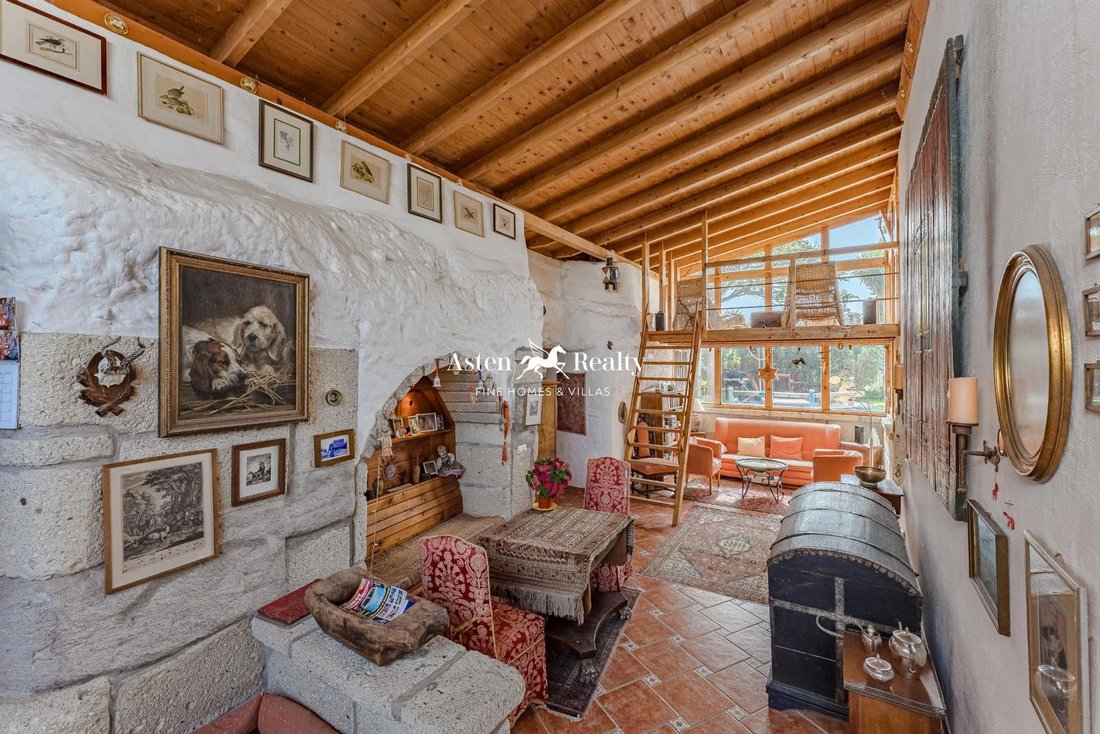 Villa in Arico, Canary Islands, Spain 5 - 14519704