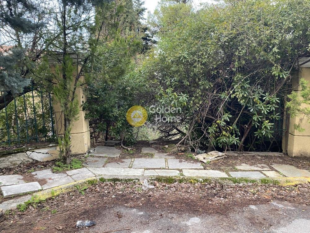 Land in Dionysos, Attica, Greece 4 - 14520704