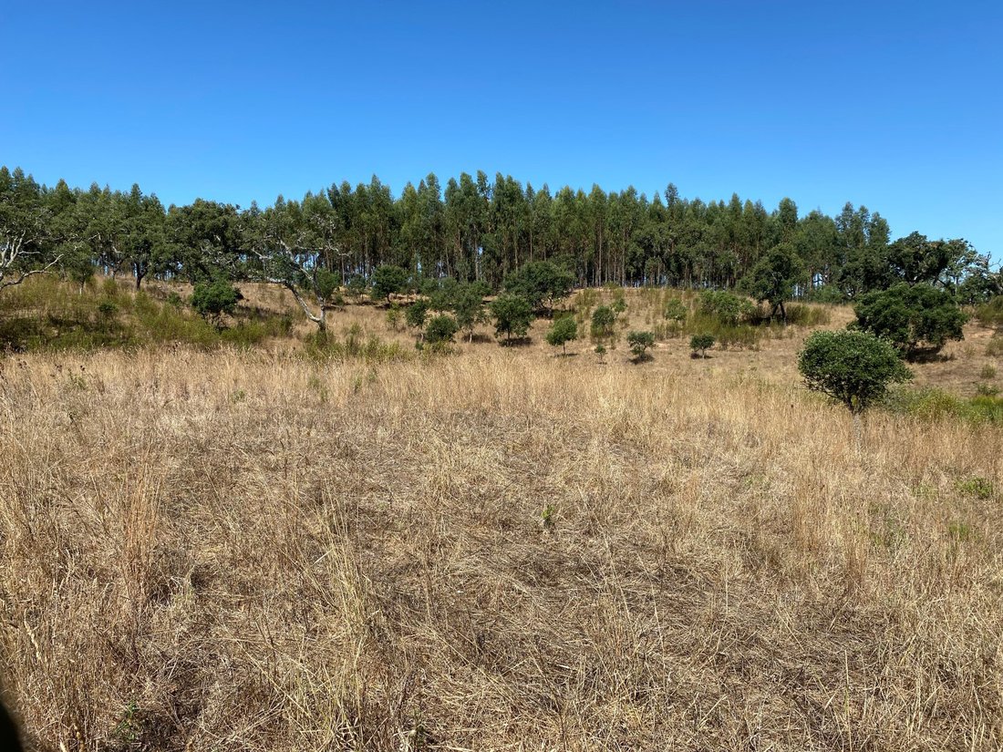 Land in Sao Domingos e Vale de Agua, Setubal, Portugal 2 - 14518122